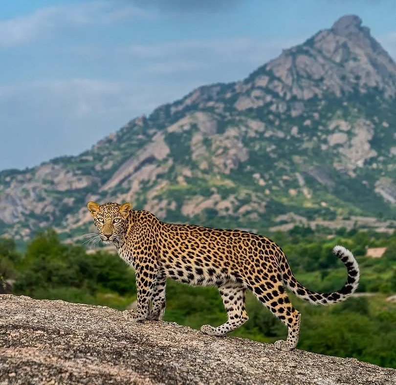 India Adventure Holidays: Unforgettable Experiences Across Diverse Landscapes