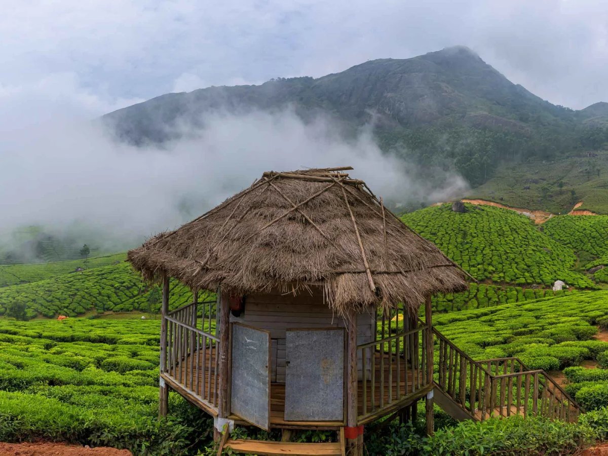 Luxury Kerala Holidays: Timeless Journeys Through India’s Coastal Paradise