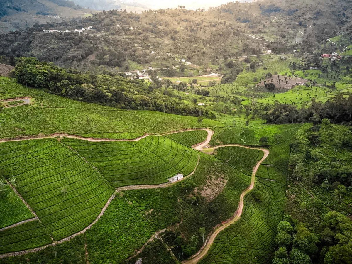 Ooty’s Timeless Elegance: Exploring the Queen of Hill Stations