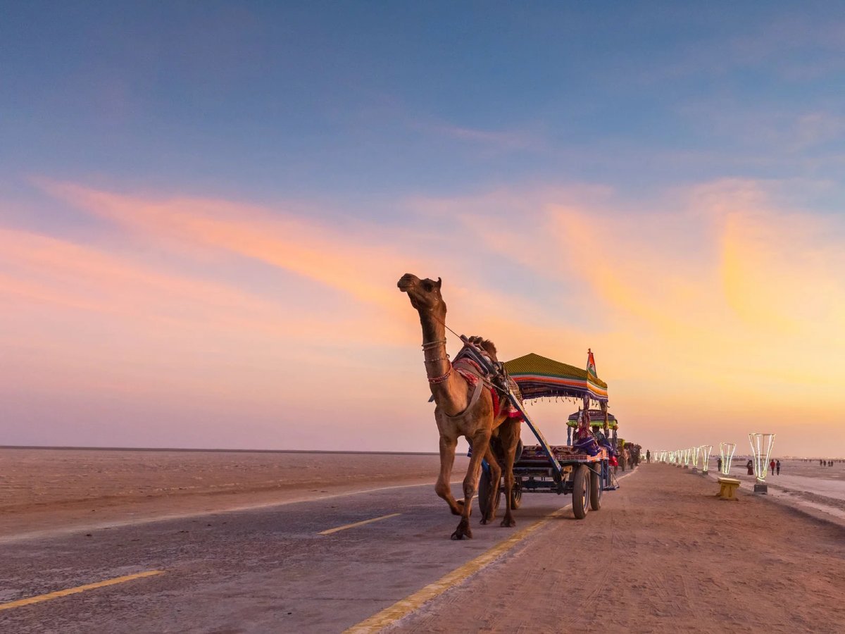 Ultimate Guide: Why You Should Visit Bhuj, Gujarat